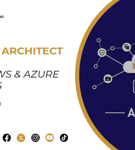 Solution Architect